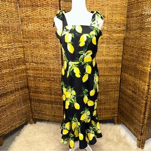 NWT Few Moda Dress (L) $109